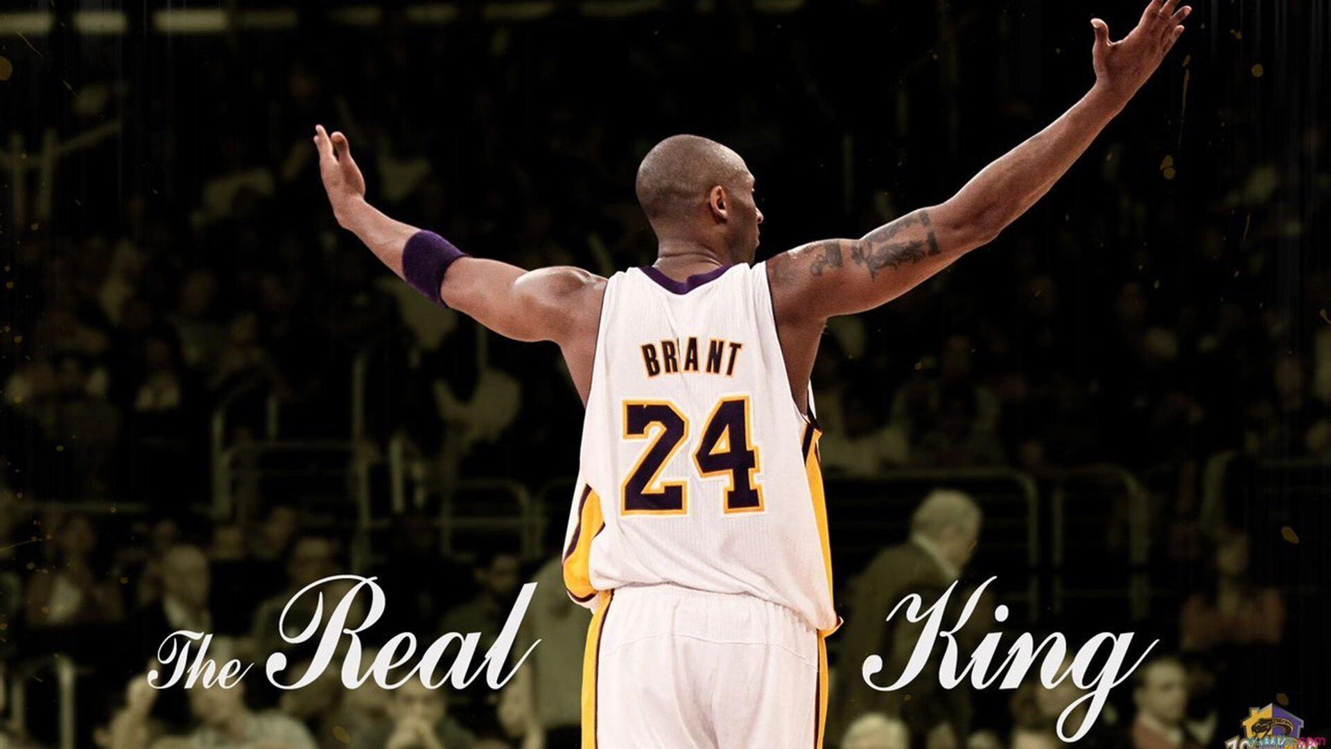 【天使队调整阵容】新援融入带来战术革新，天使阵容怎么搭配最新