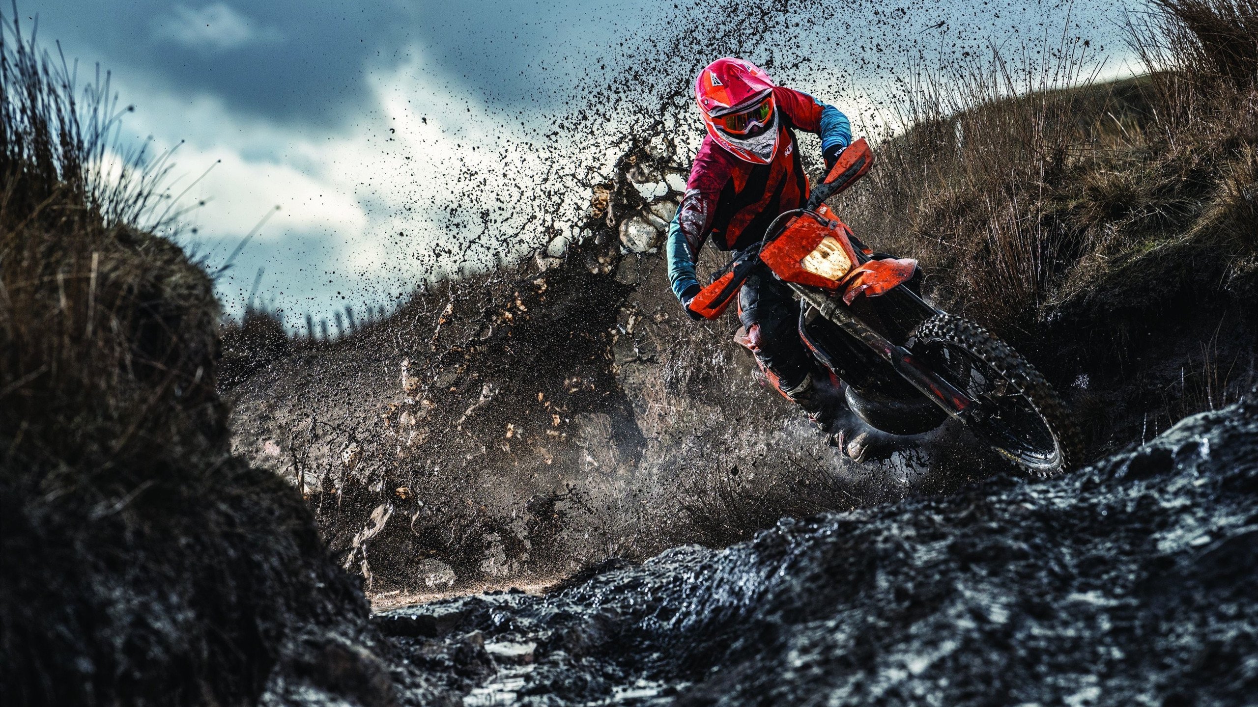 xingkong-特色篮球元素融入城市夜景，营造文化氛围，篮球场夜景壁纸图片